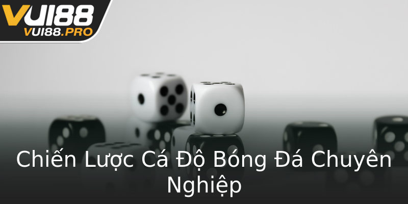 Chiến Lược Cá Độ Bóng Đá Chuyên Nghiệp Chiến Lược Cá Độ Bóng Đá Chuyên Nghiệp