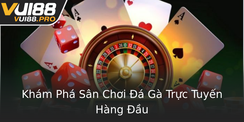 Khám Phá Sân Chơi Đá Gà Trực Tuyến Hàng Đầu Khám Phá Sân Chơi Đá Gà Trực Tuyến Hàng Đầu