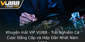 Khuyen Mai Vip Vui88 Trai Nghiem Ca Cuoc Ang Cap Va Hap Dan Nhat Nam 2025
