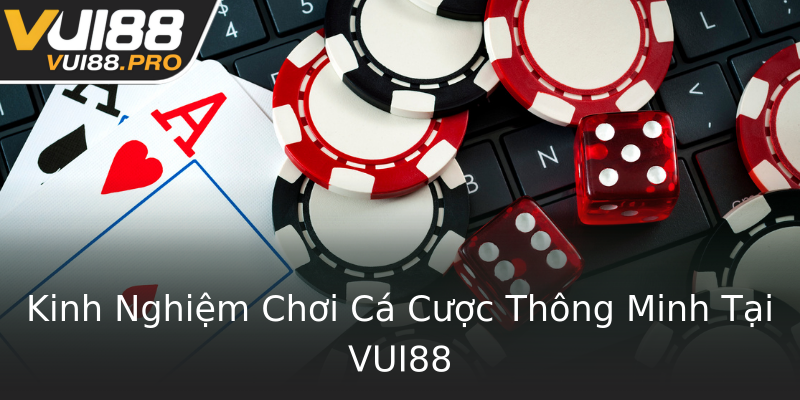 Kinh Nghiệm Chơi Cá Cược Thông Minh Tại VUI88 Kinh Nghiệm Chơi Cá Cược Thông Minh Tại VUI88