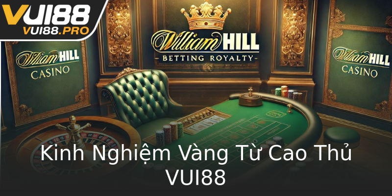 Kinh Nghiệm Vàng Từ Cao Thủ VUI88 Kinh Nghiệm Vàng Từ Cao Thủ VUI88