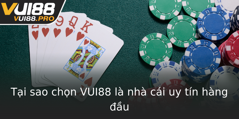 Tại sao chọn VUI88 là nhà cái uy tín hàng đầu Tại sao chọn VUI88 là nhà cái uy tín hàng đầu