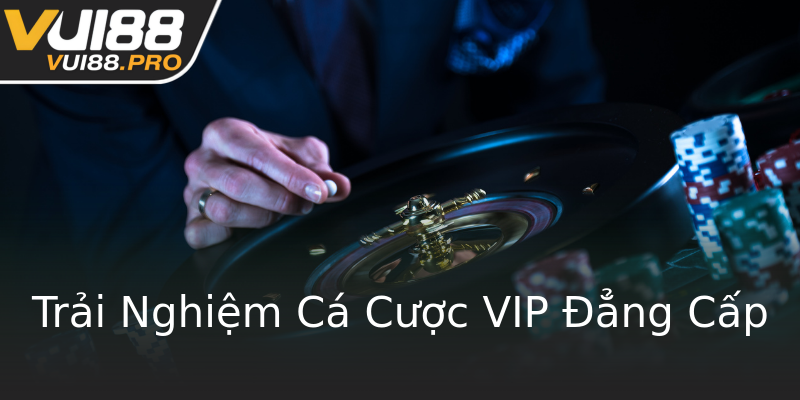 Trải Nghiệm Cá Cược VIP Đẳng Cấp Trải Nghiệm Cá Cược VIP Đẳng Cấp